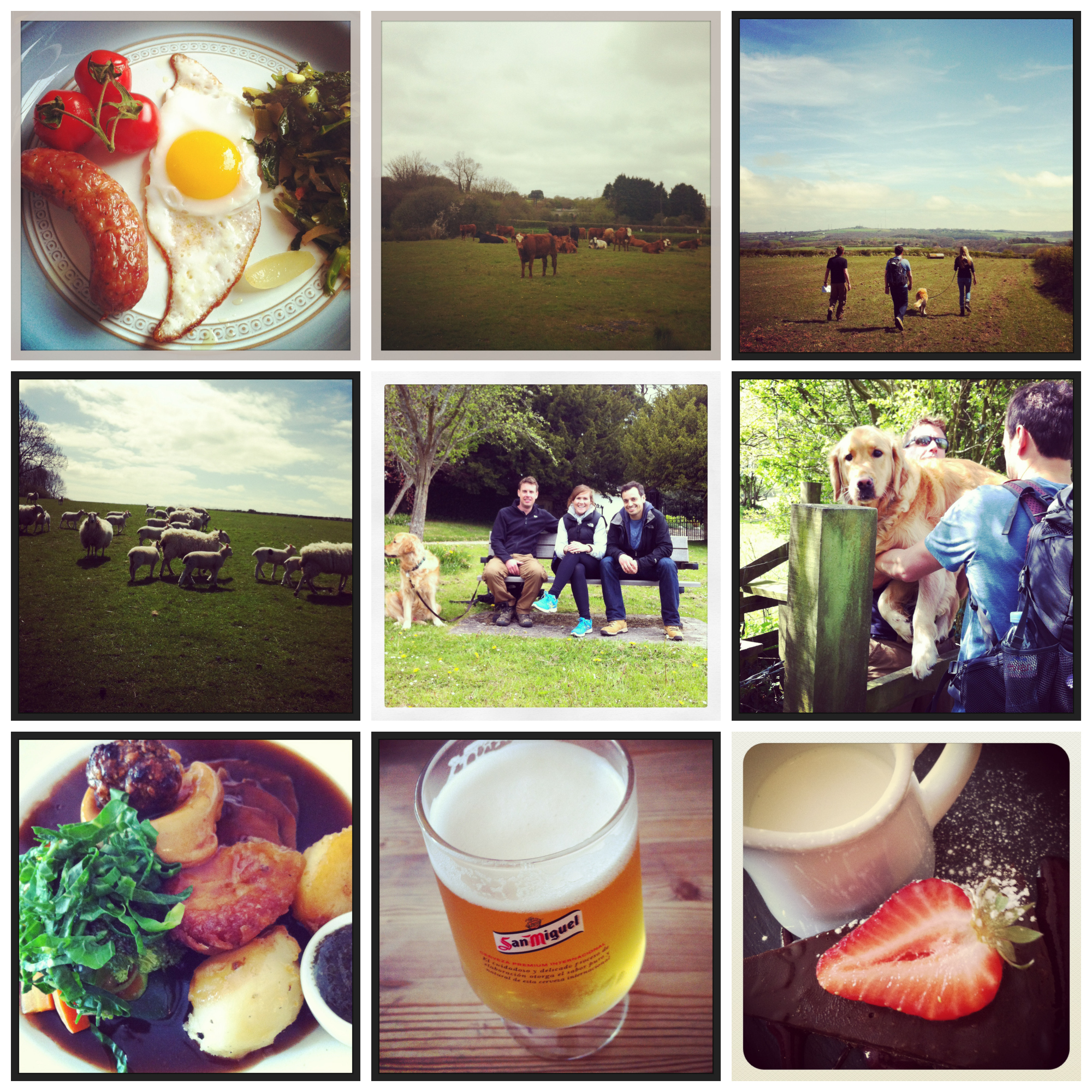 Bank Holiday Collage