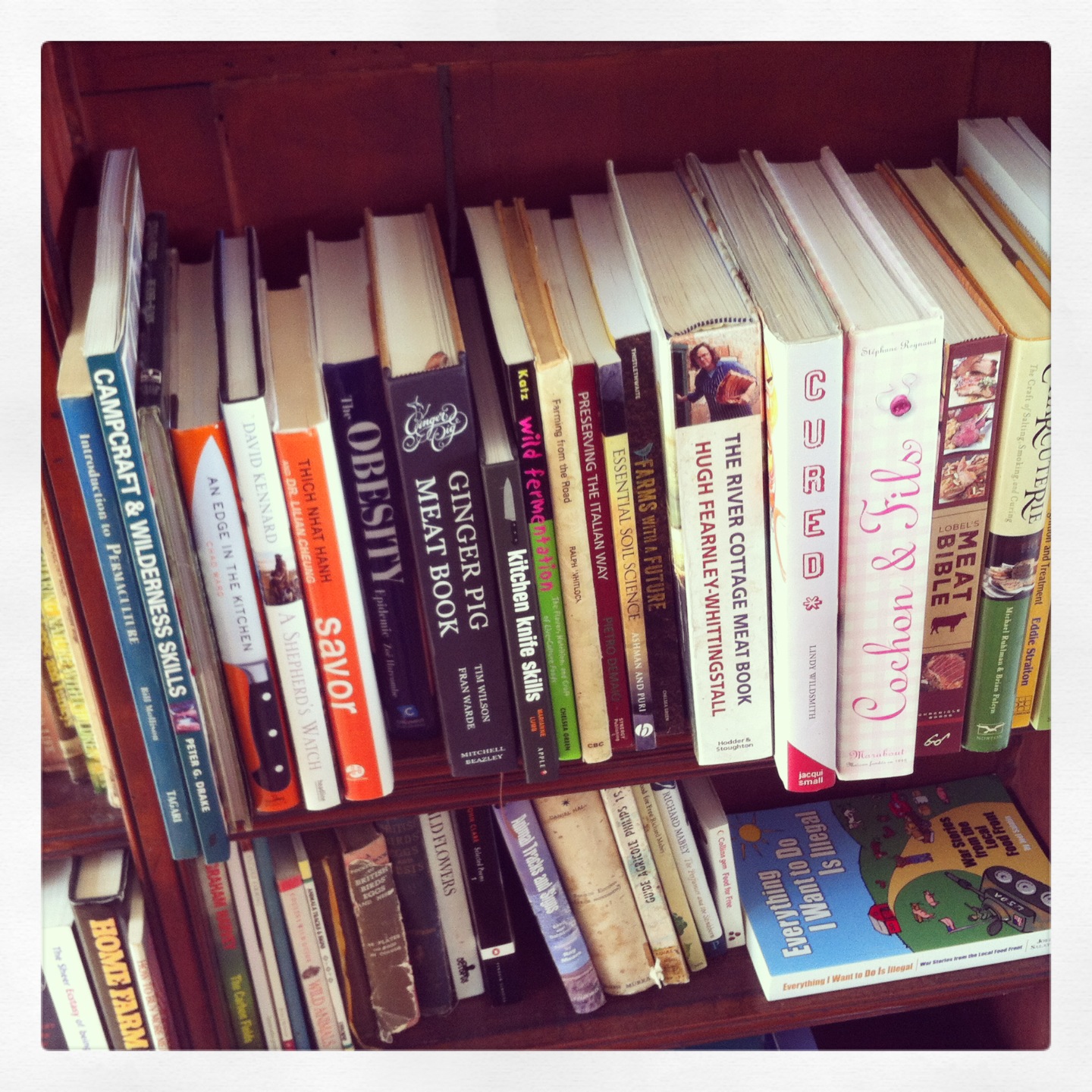 books shelf 2