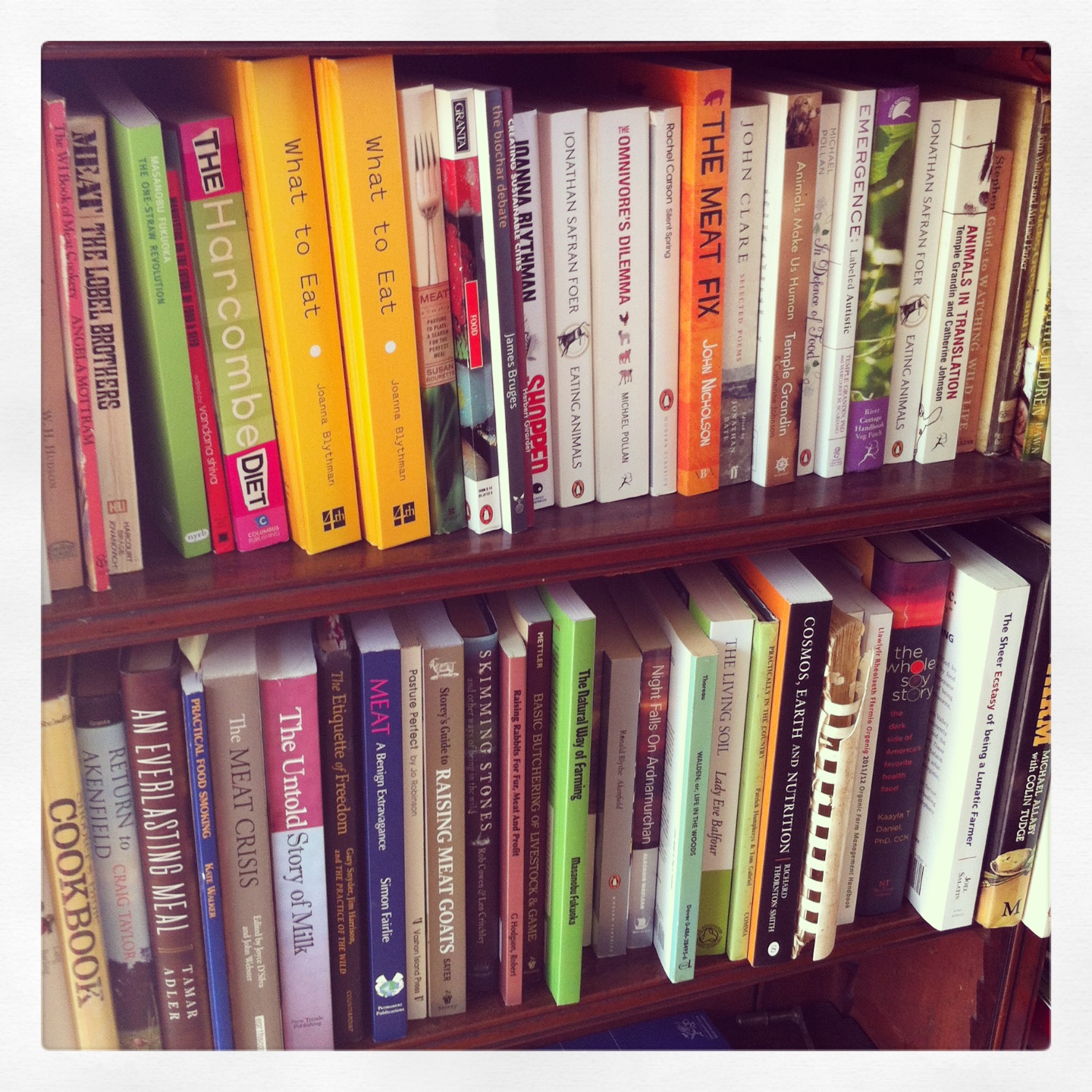 books shelf1