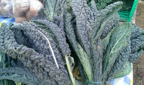 Cavolo nero for the first course sourced fresh from the market just the day before